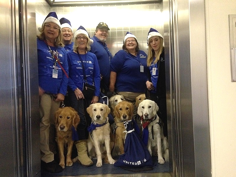 A companhia aérea norte-americana United Airlines levou uma equipe de cachorros para o aeroporto internacional de Chicago (EUA) - Divulgação