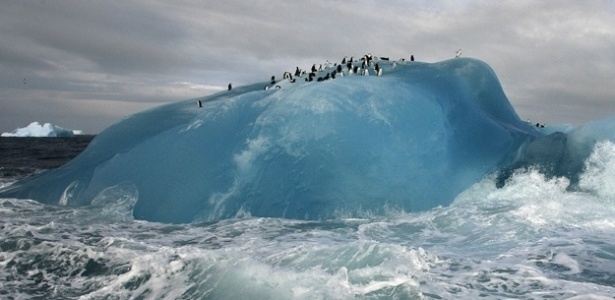 Resultado de imagem para icebergs da antÃ¡rtica