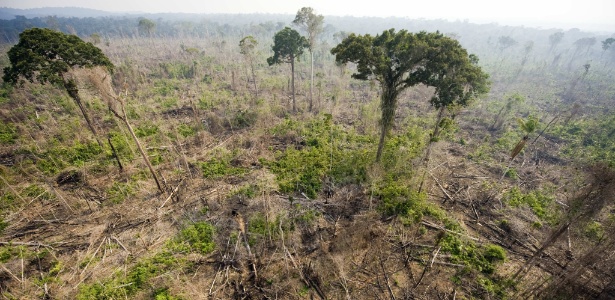 Uma vista aérea mostra um acampamento ilegal em um setor da floresta nacional de Jamanxim, no Pará. A imagem foi feita em 2009 - Antonio Scorza/AFP