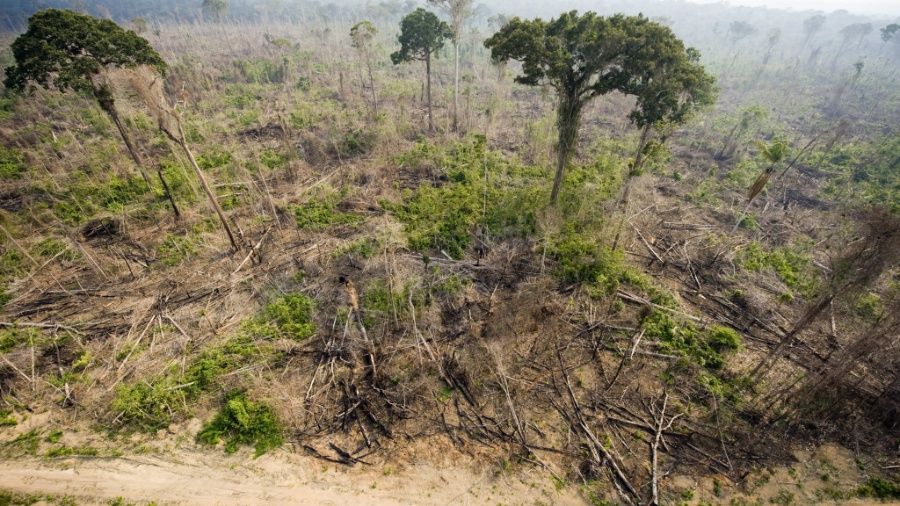 Desmatamento na Floresta Nacional do Jamanxim, no Pará - Antonio Scorza/AFP