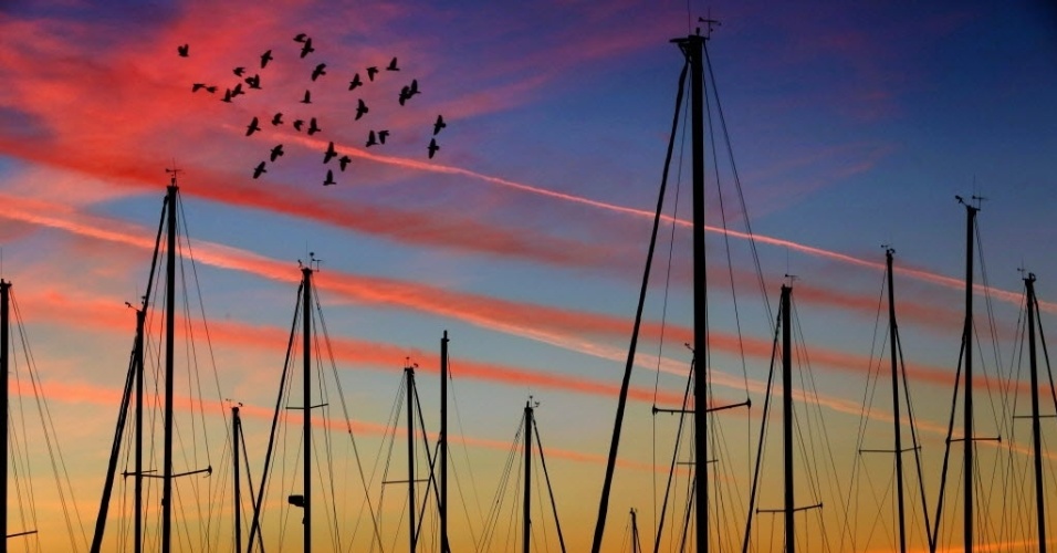 17.jan.2015 - Pássaros voam sobre a marina de Clearwater Harbor enquanto o sol se põe na Flórida, nos Estados Unidos