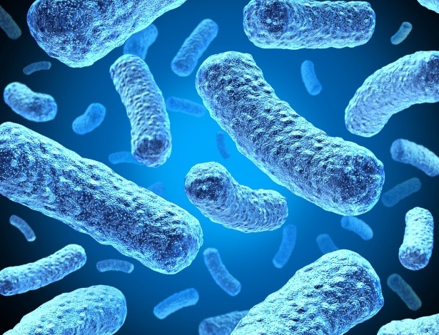 Micróbios infestam nosso corpo: mas sem eles, ninguém é tão humano - Thinkstock