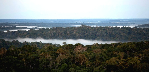 Amazônia vista da Torre de observação climática Atto, em São Sebastião do Uatumã (AM) - Bruno Kelly/Reuters