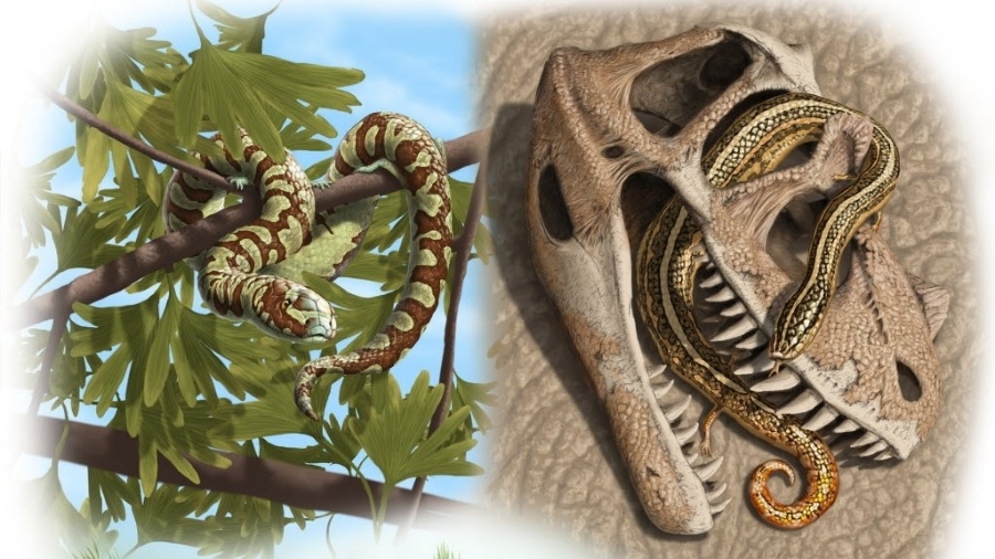 Ilustração de cobra pré-histórica - Julius Csotonyi/Reuters