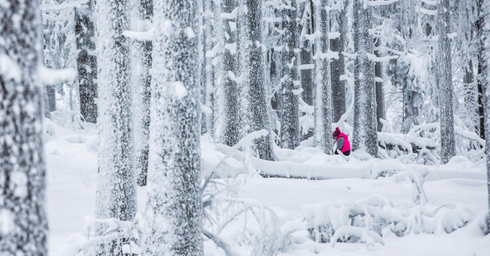 30.jan.2015 - Mulher anda por floresta coberta de neve na montanha Grosser Feldberg na região do Taunus, na Alemanha