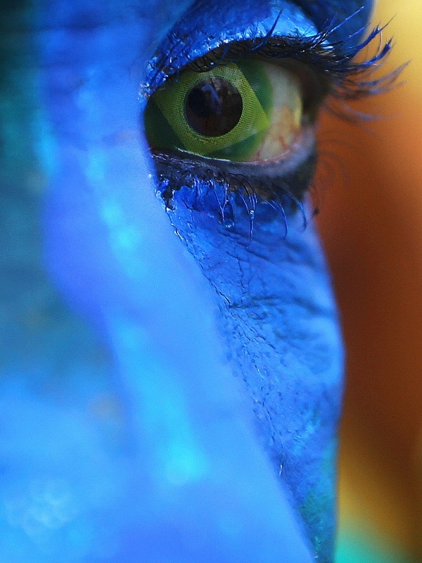 Evelson de Freitas/Estadão