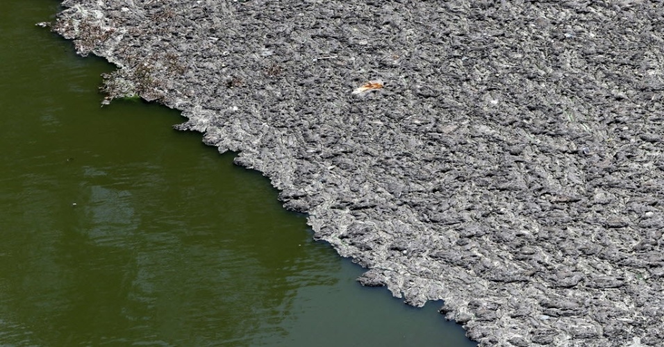 Obra Na Represa Billings N O Evita Gua Polu Da Ag Ncia Estado Uol Not Cias