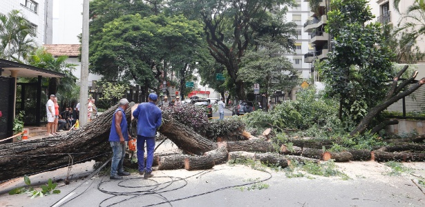 Funcionários retiram árvore que caiu na rua Sergipe, em Higienópolis, região central de São Paulo, após um temporal. A foto é de fevereiro de 2015 - Moacyr Lopes Junior/Folhapress