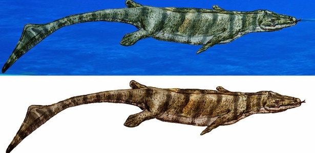Reprodução artística do Eonatator coellensis, um mosassauro parente das lagartixas e das serpentes cujo fóssil foi encontrado em rochas com 80 milhões de anos - Zimices/Universidade de Colômbia