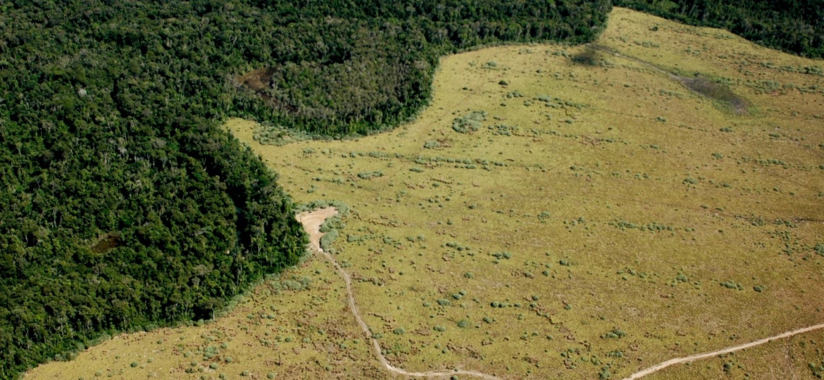 Vista aérea de área de preservação permanente com enorme parte desmatada em Nova Ubiratã (MT) - Fernando Donasci/Folhapress