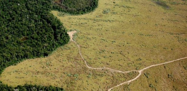 Vista aérea de área de preservação permanente com enorme parte desmatada em Nova Ubiratã, região médio-norte de Mato Grosso - Fernando Donasci/Folhapress