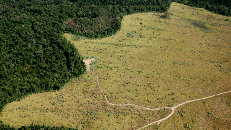 Vista aérea de área de preservação permanente com enorme parte desmatada em Nova Ubiratã, região do Mato Grosso - Fernando Donasci/Folhapress