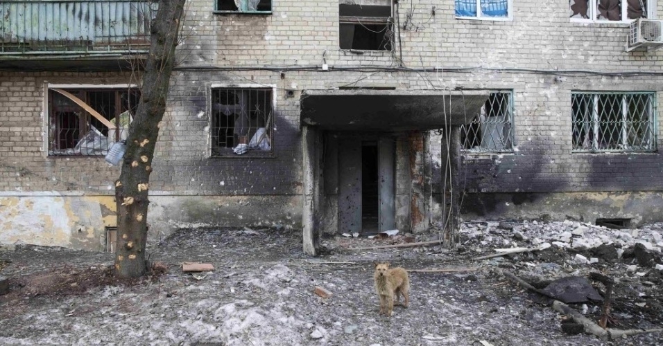 28.fev.2015 - Um cachorro para em frente a um prédio destruído pelo confronto entre o Exército ucraniano e separatistas pró-Rússia, na cidade de Debaltseve