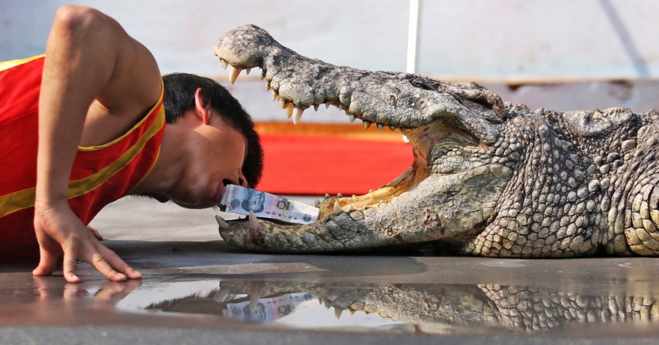 3.mar.2015 - Um treinador pega nota de yuan chinês da boca aberta de um crocodilo durante apresentação em um zoológico em Wenling, na província de Zhejiang, na China