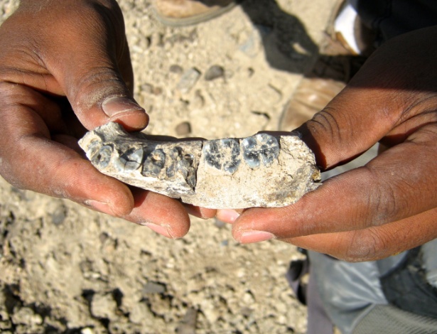 Pesquisador exibe um pedaço de mandíbula descoberto na Etiópia, que os cientistas batizaram de LD-350-1: ancestral humano teria vivido há 2,8 milhões - Brian Villmoare/AFP
