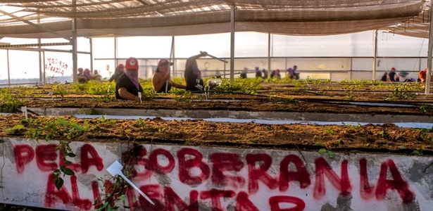 Militantes do MST ocupam centro de pesquisas da Suzano Papel e Celulose, nesta quinta-feira (5), em Itapetininga (SP) - Divulgação/MST