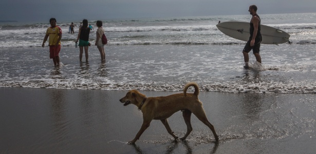 Cão passeia por praia em Kuta Beach, local do ataque à garota australiana - Ulet Ifansasti/The New York Times