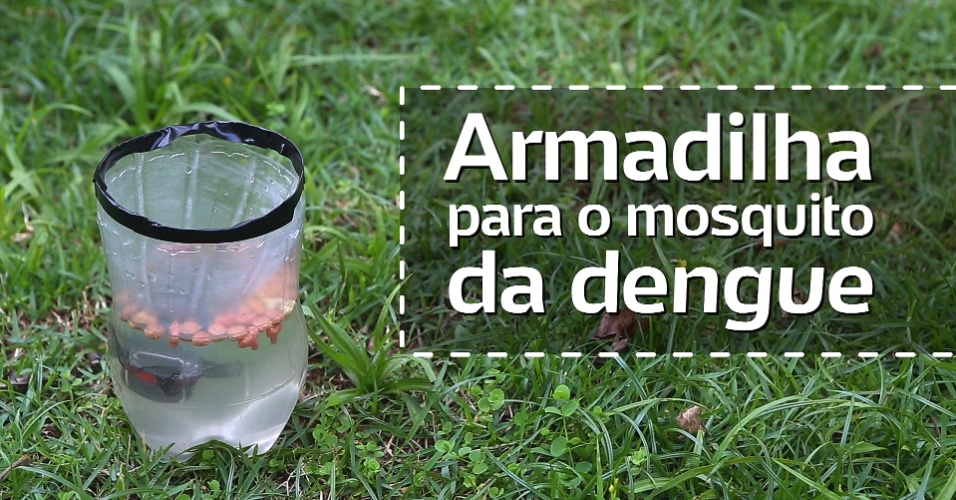 Aprenda A Fazer Uma Armadilha Para Pegar O Mosquito Da Dengue