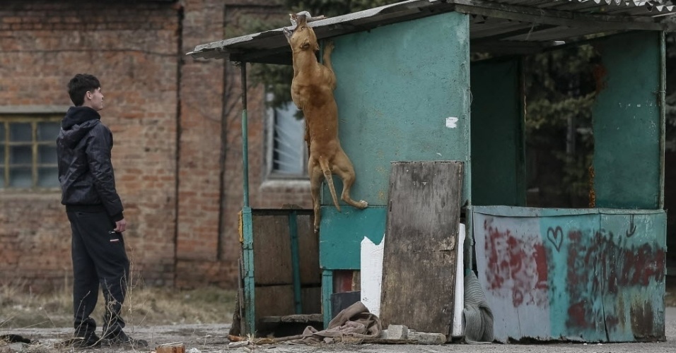 12.mar.2015 - Morador brinca com um cão na cidade oriental de Slaviansk, na região de Donetsk, na Ucrânia, nesta quinta-feira (12). O governo ucraniano e os separatistas pró-Rússia, que assinaram há um mês os acordos de paz, se acusam mutuamente de romper o cessar-fogo 