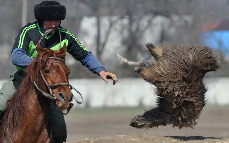 17.mar.2015 - Cavaleiro do Quirguistão joga o esporte buzkashi, tradicional da Ásia Central, em Bishkek. Montados em cavalos, jogadores devem jogar uma carcaça de carneiro em um poço para ganhar pontos