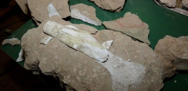 Fósseis de 80 milhões de anos, incluindo parte do fêmur de um titanossauro, são achados em obra de condomínio no bairro São Bento, em Uberaba (MG) - Rene Moreira/Estadão Conteúdo
