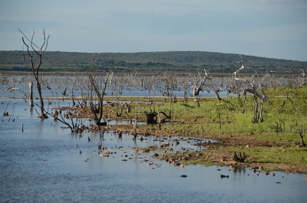 17.mar.2015 - Por causa da estiagem que afeta o Nordeste, o nível do reservatório de Sobradinho, localizado no município de mesmo nome e no de Casa Nova (BA), era de 17,56% na segunda-feira (16), o menor índice entre as represas das regiões Norte e Nordeste, segundo o ONS (Operador Nacional do Sistema) - Beto Macário/UOL