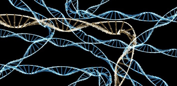 DNA foi usado para infectar e tomar controle de um computador - Reprodução