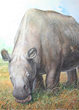 Impressão artística do Toxodon platensis, que viveu na América do Sul, e de acordo com descoberta científica, tinha o tamanho de um rinoceronte e pesava cerca de uma tonelada e meia - Peter Schouten/Reuters