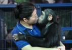 O amor está no ar! Mulher beija chimpanzé em zoológico em Bancoc - Rachen Sageamsak/Xinhua