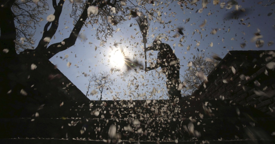 23.mar.2015 - Varredor remove pétalas de amendoeira florida em um jardim na cidade de Srinagar, capital da Caxemira indiana