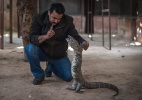 Egípcio treina e vende lagartos, cobras e tartarugas em sua casa no Cairo - Pan Chaoyue/Xinhua
