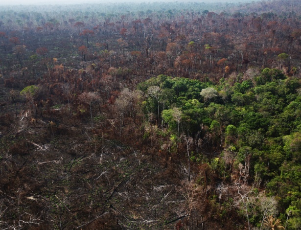 Área devastada ilegalmente na floresta amazônica, em Novo Progresso (PA) - Lalo de Almeida/The New York Times