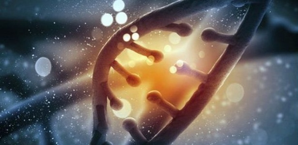 Cientistas mapearam DNA de dez mil pessoas e compararam dados com árvores genealógicas  - Thinkstock