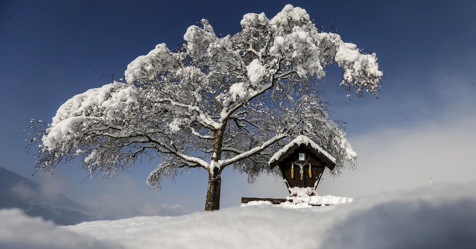 7.abr.2015 - Árvore fica coberta por neve em um dia ensolarado de primavera na aldeia de Absam, na Áustria