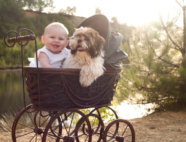 Pesquisadores apontam que o mesmo sentimento de amor que une pais e filhos também se estende a pessoas e seus cães, devido à ocitocina - iStock