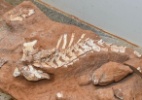 Parque cretáceo de Cal Orcko revela novas pegadas de dinossauro - David Mercado/Reuters