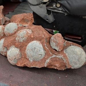 Um ninho com 43 ovos de dinossauro fossilizados foi encontrado na cidade de Heyuan, na província de Guangdong (sul da China) - Reprodução/ ImagineChina