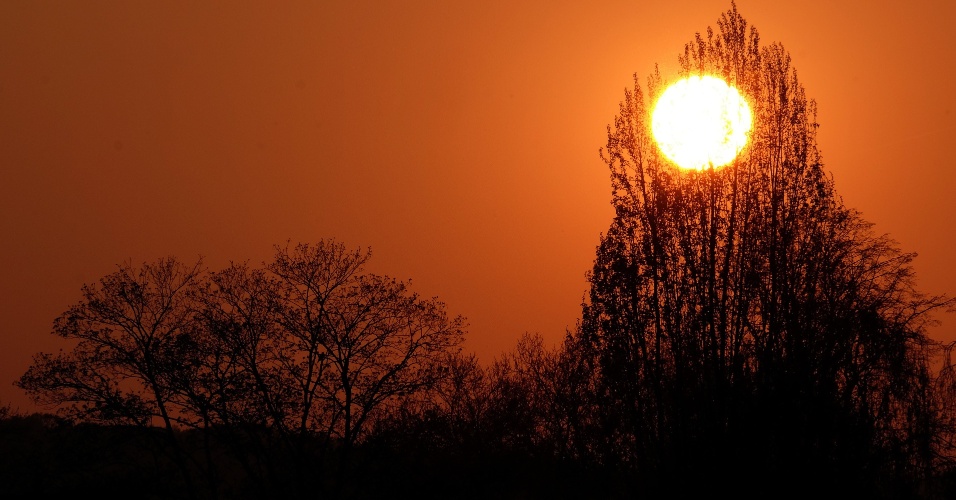 24.abr.2015 - Árvores são iluminadas pelo sol na cidade de Essen, na Alemanha