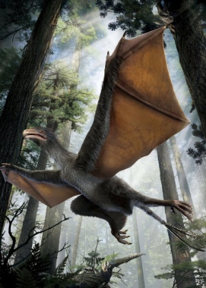 Desenho mostra o minidinossauro Yi qi, que seria do tamanho de um pombo e teria asas de morcego - Dinostar Co. Ltd/ Reuters 