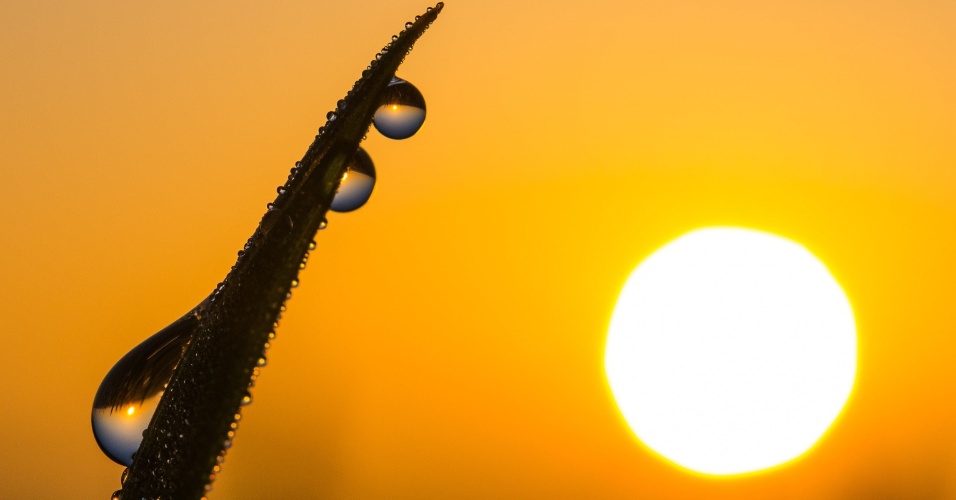 30.abr.2015 - Gota reflete a luz do sol em Zeschdorf, na Alemanha