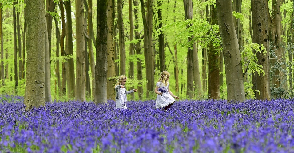 4.mai.2015 - Meninas correm em floresta de Marlborough, no sul da Inglaterra