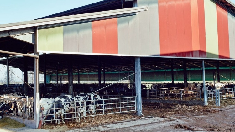 5.mai.2015 - O museu procura alterar a percepção comum de fezes como resíduos, a fim de demonstrar "quão útil a merda realmente é." O site do museu afirma que "alguns fenômenos são ricos em materiais e complexidade conceitual" - Divulgação - Divulgação