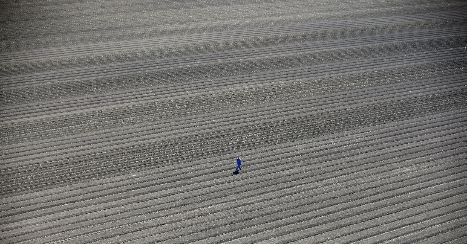 6.mai.2015 - Trabalhador caminha por campo de exploração agrícola em Los Baños, Califórnia (EUA)