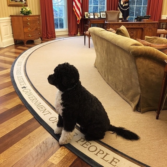 Reprodução/Instagram/@petesouza