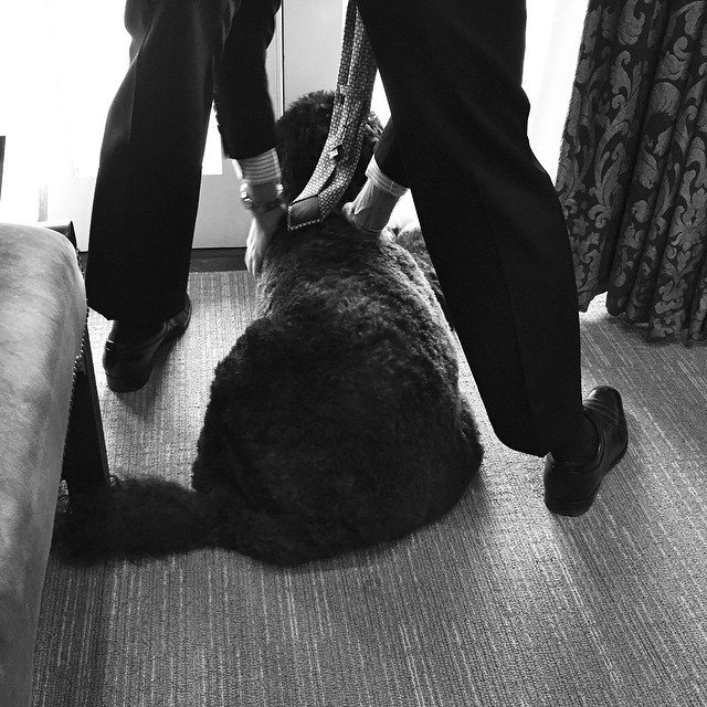 Reprodução/Instagram/@petesouza