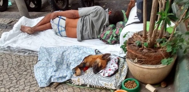A foto que mostra Negão dormindo ao lado de Barba, com direito a cama e cobertor, fez sucesso no Facebook. A imagem foi publicada na rede social no dia 8 de maio - Reprodução/Facebook/Jaqueline Winter