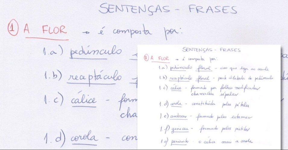 Anotação - método das sentenças