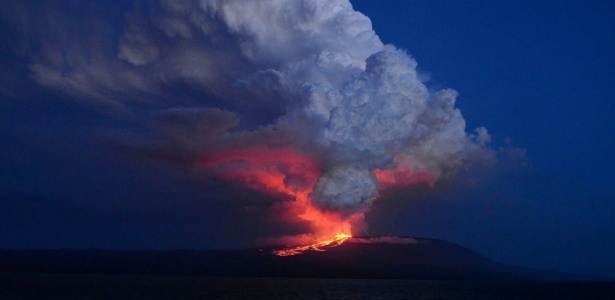 Diego Paredes/Parque Nacional Galápagos/EFE