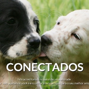 DogsApp