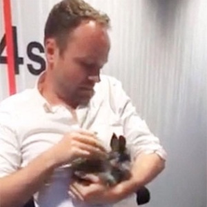 26.mai.2015 - O apresentador Asger Juhl e o coelho Allan - Twitter/Reprodução